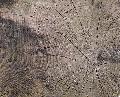 3D TEXTURES