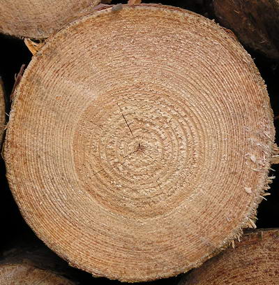 3D TEXTURES