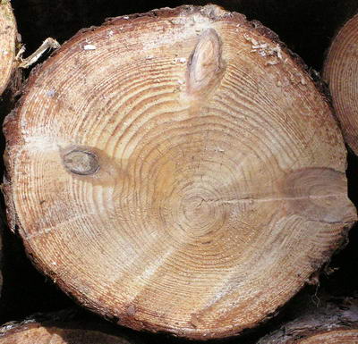 3D TEXTURES