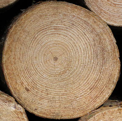 3D TEXTURES