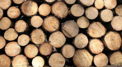 3D TEXTURES