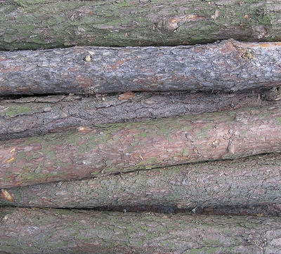 3D TEXTURES