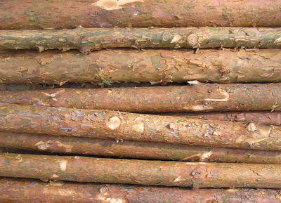 3D TEXTURES