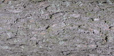 3D TEXTURES