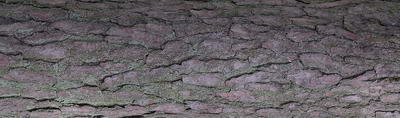 3D TEXTURES