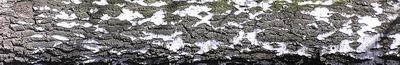 3D TEXTURES