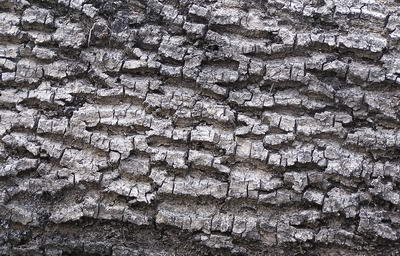 3D TEXTURES
