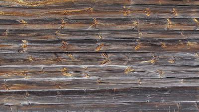 3D TEXTURES