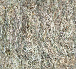 3D TEXTURES FREE DOWNLOAD