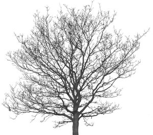 3D TEXTURES FREE DOWNLOAD