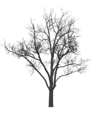 3D TEXTURES FREE DOWNLOAD