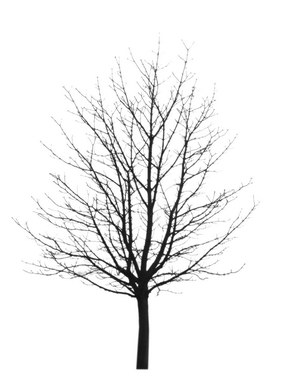 3D TEXTURES FREE DOWNLOAD