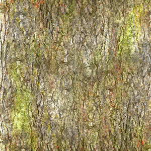 3D TEXTURES