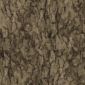 3D TEXTURES