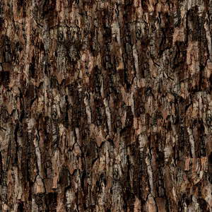 3D TEXTURES