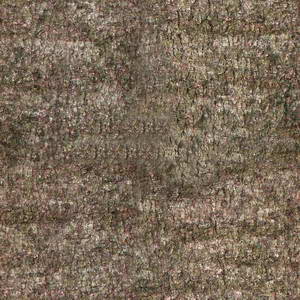 3D TEXTURES