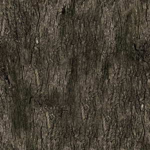 3D TEXTURES