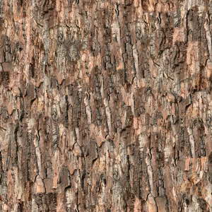 3D TEXTURES