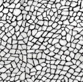 3D TEXTURES
