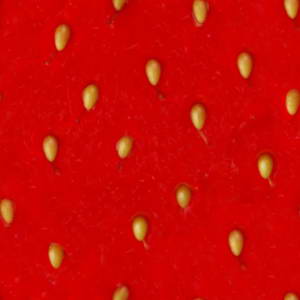 3D TEXTURES