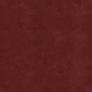 Carpet-6