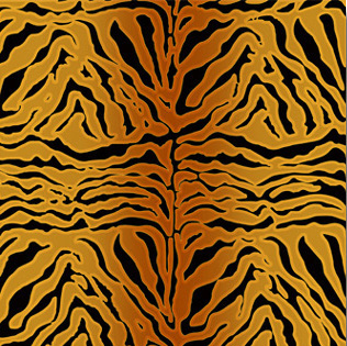 3D TEXTURES