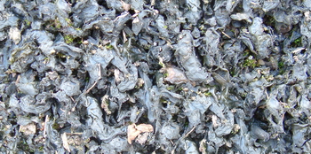 3D TEXTURES