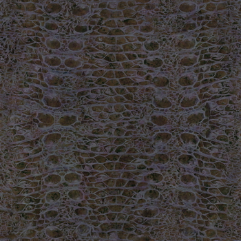 3D TEXTURES
