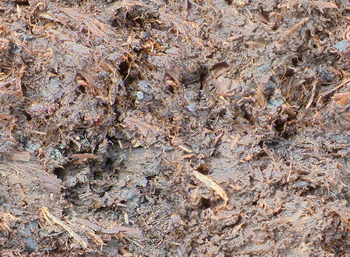 3D TEXTURES