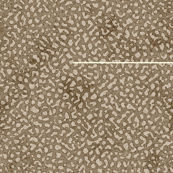 3D TEXTURES
