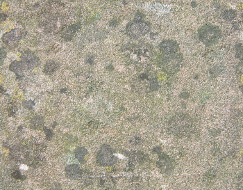 3D TEXTURES