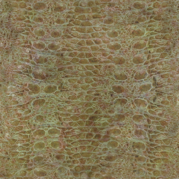 3D TEXTURES