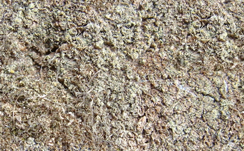 3D TEXTURES