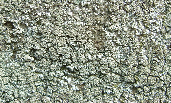 3D TEXTURES