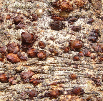 3D TEXTURES