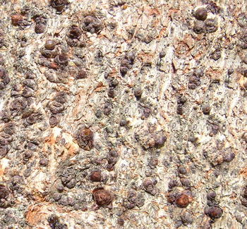 3D TEXTURES
