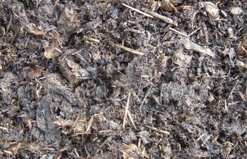 3D TEXTURES