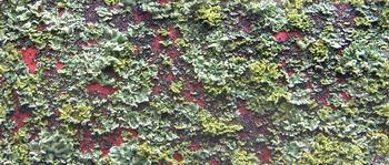 3D TEXTURES