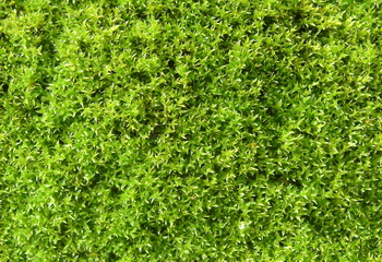 3D TEXTURES