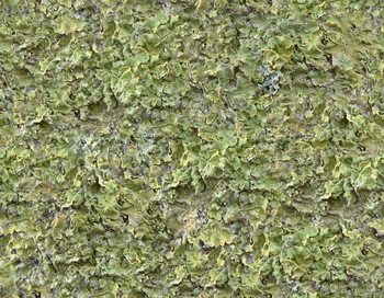 3D TEXTURES