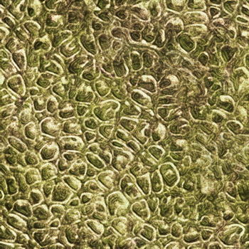 3D TEXTURES
