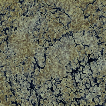 3D TEXTURES