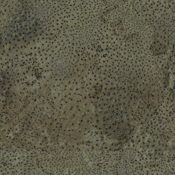 3D TEXTURES
