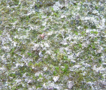 3D TEXTURES