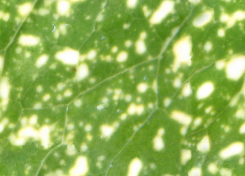 3D TEXTURES