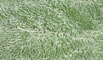 3D TEXTURES