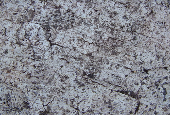 3D TEXTURES