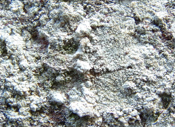 3D TEXTURES