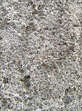 3D TEXTURES