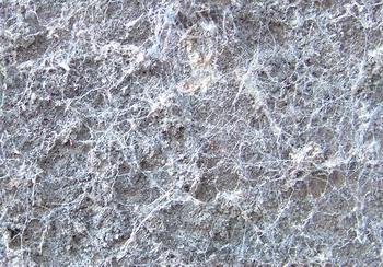 3D TEXTURES